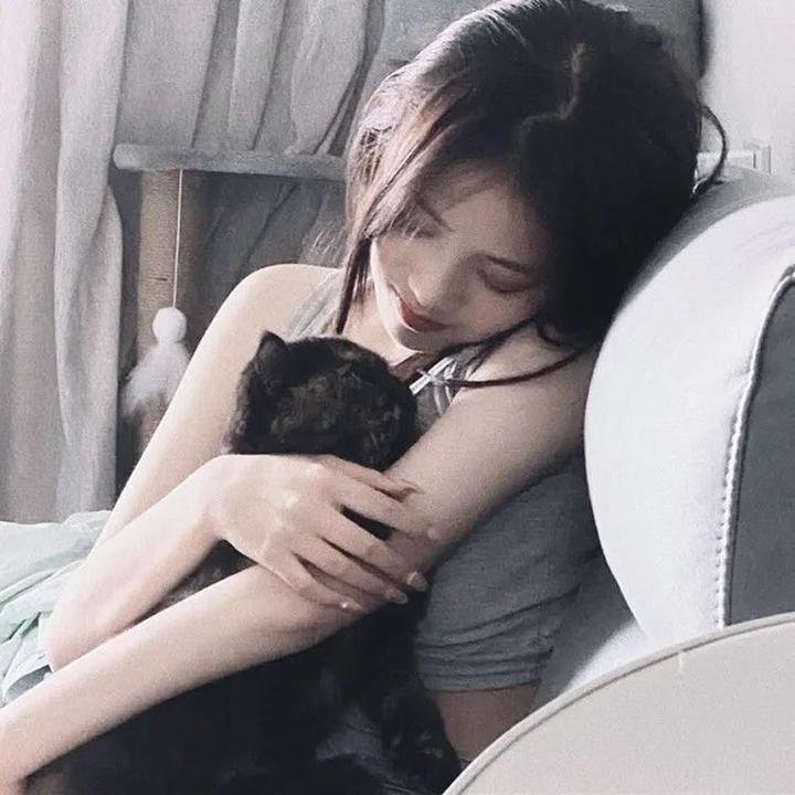 哥吉拉的逆袭 封面